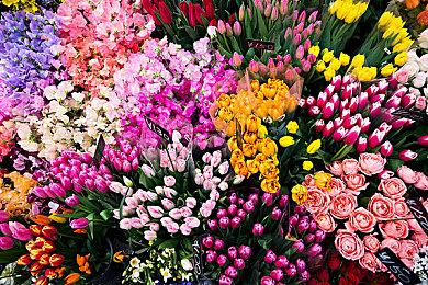 《无人深空》开发商推出自家早期手游作品重制版