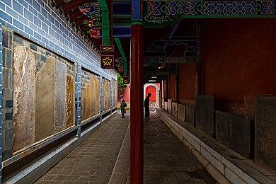 《方舟：生存飞升》瓦尔盖罗DLC现已发布，远古之爪同步登场